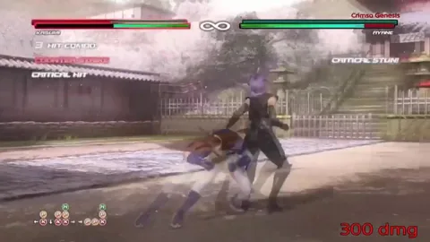 HMV DOA Kasumi Tritube（かすみ トリビュート）　