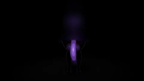 Bonnie WIP