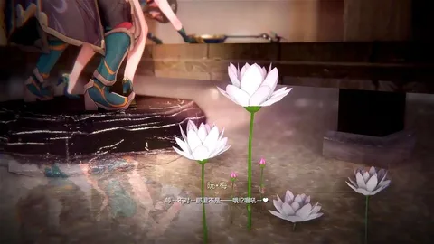 ruanmei